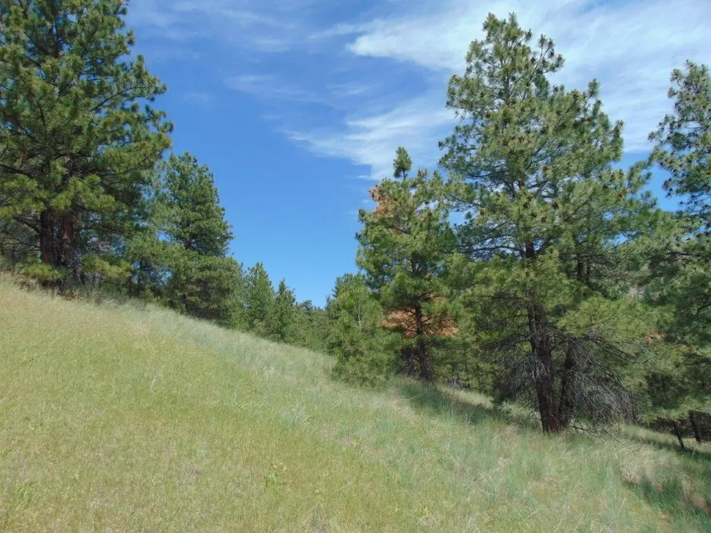 19 Lookout Lane Cascade MT 59421