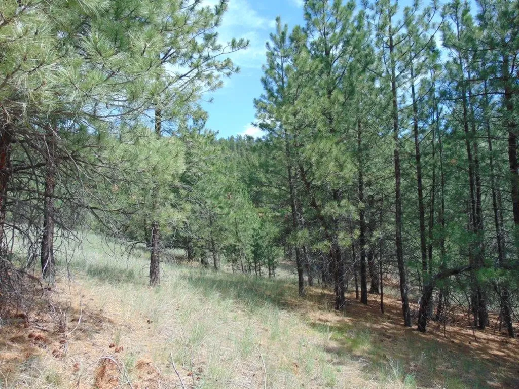 19 Lookout Lane Cascade MT 59421