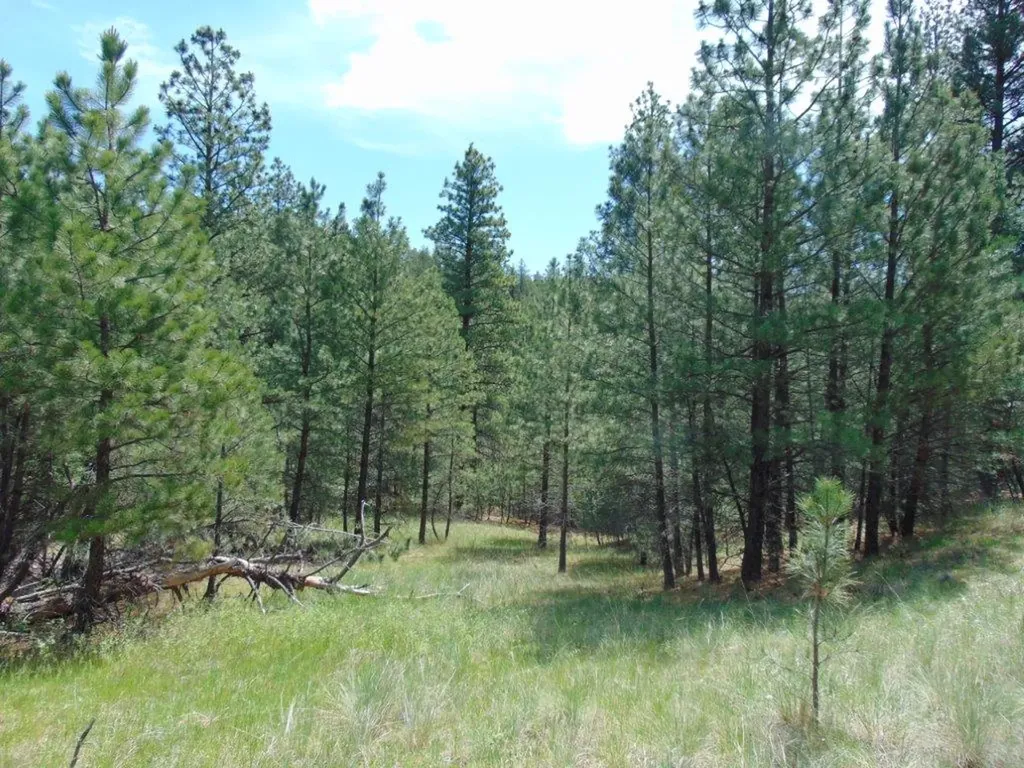 19 Lookout Lane Cascade MT 59421