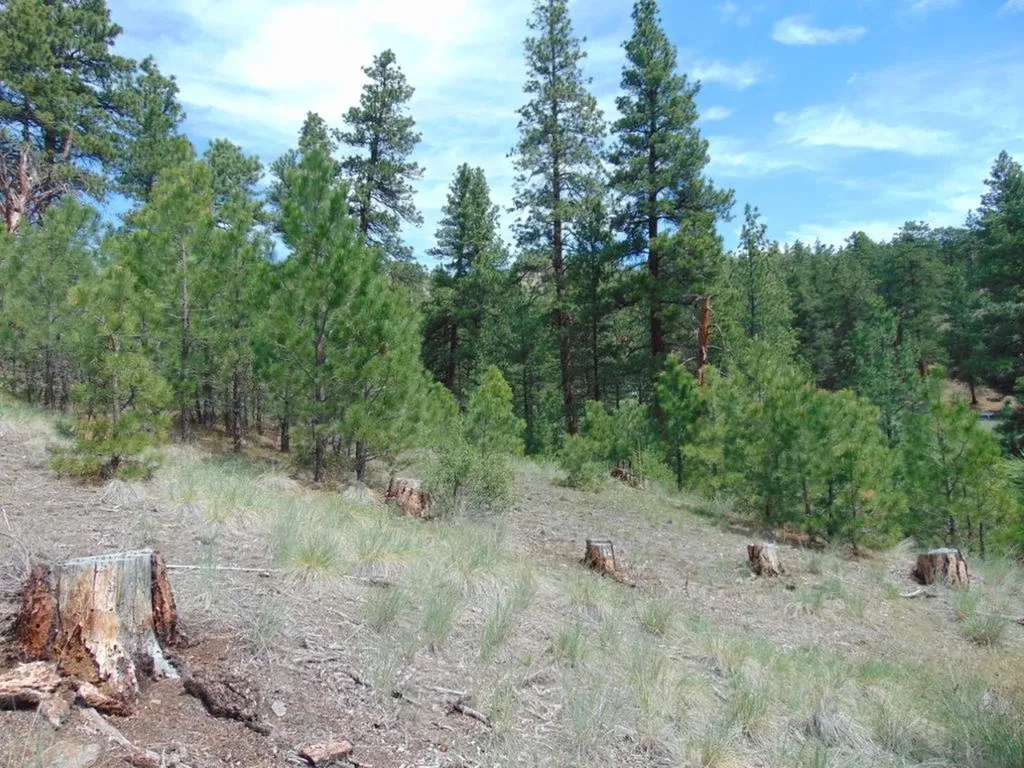 19 Lookout Lane Cascade MT 59421