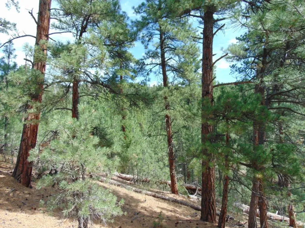 19 Lookout Lane Cascade MT 59421