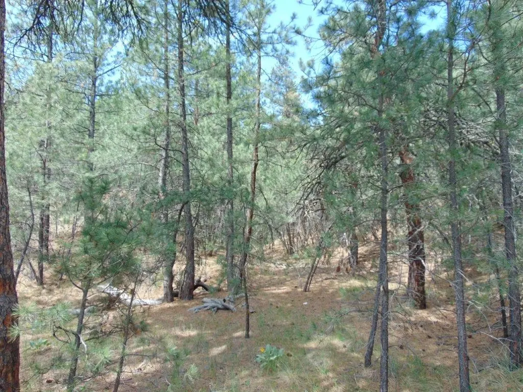 19 Lookout Lane Cascade MT 59421
