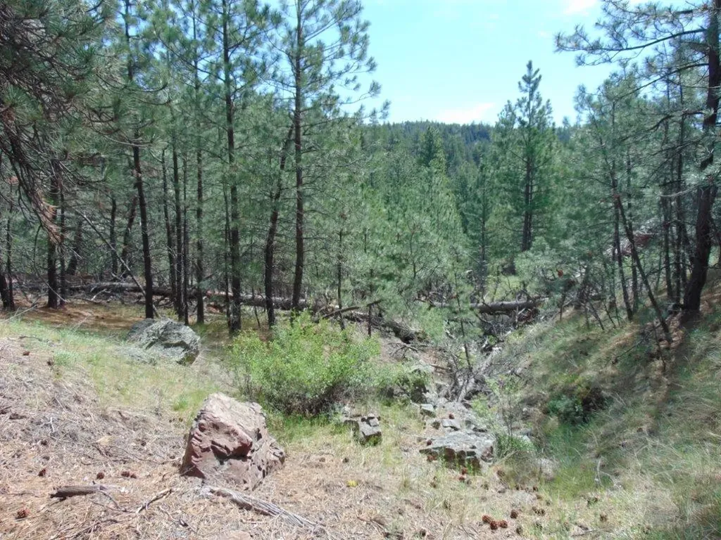 19 Lookout Lane Cascade MT 59421