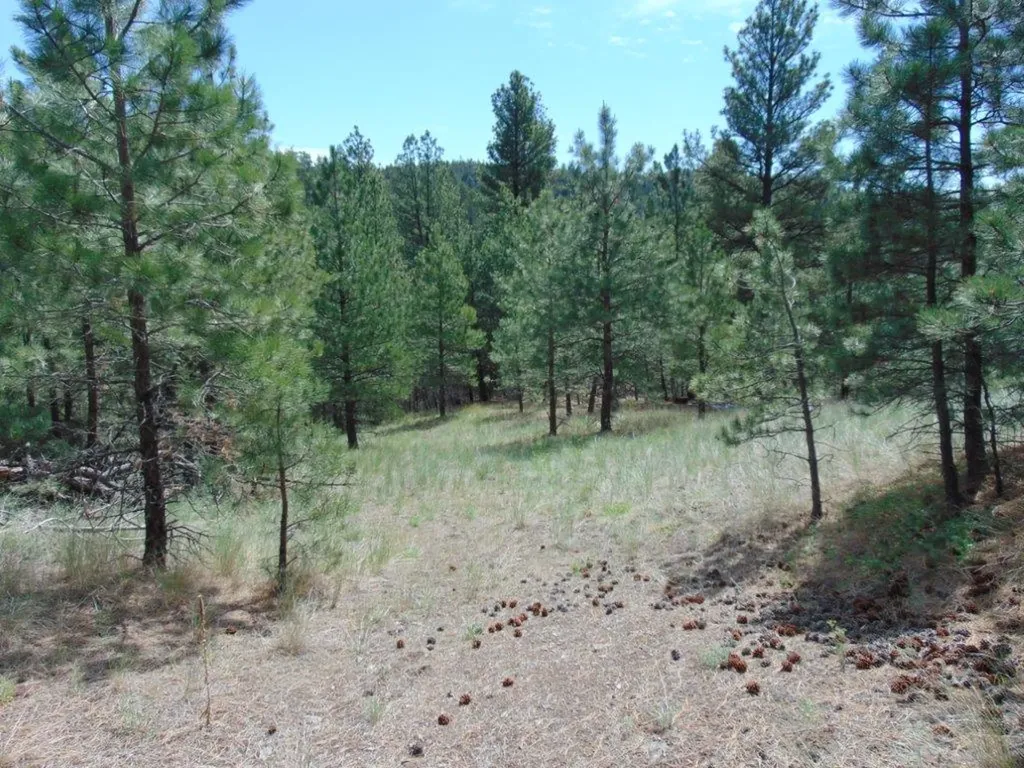 19 Lookout Lane Cascade MT 59421