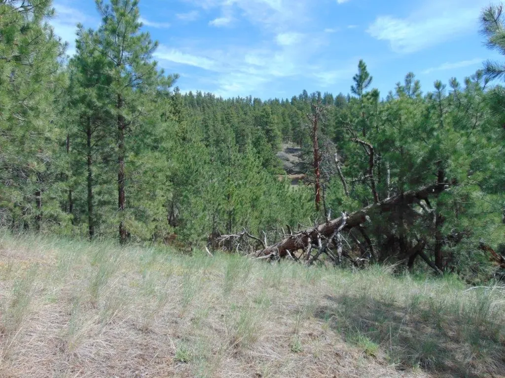 19 Lookout Lane Cascade MT 59421