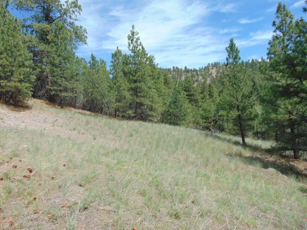 19 Lookout Lane Cascade MT 59421