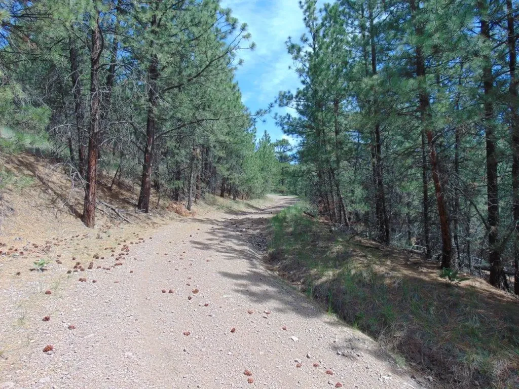 19 Lookout Lane Cascade MT 59421