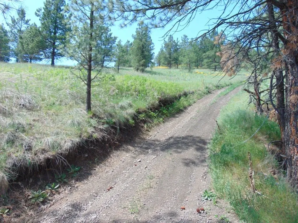 19 Lookout Lane Cascade MT 59421