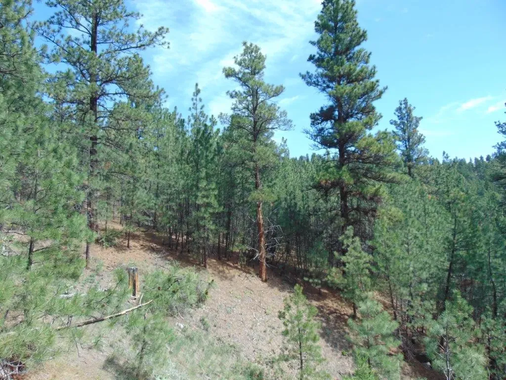 19 Lookout Lane Cascade MT 59421