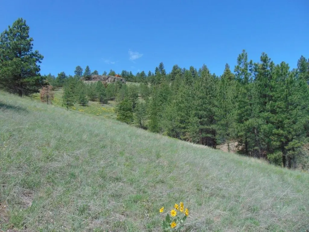 19 Lookout Lane Cascade MT 59421