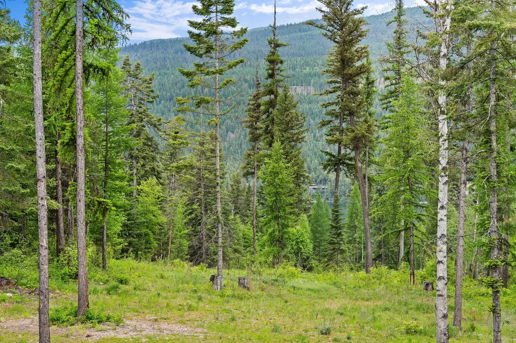 14051 Big Rock Way Bigfork MT 59911