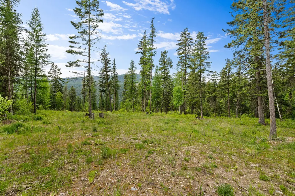 14051 Big Rock Way Bigfork MT 59911