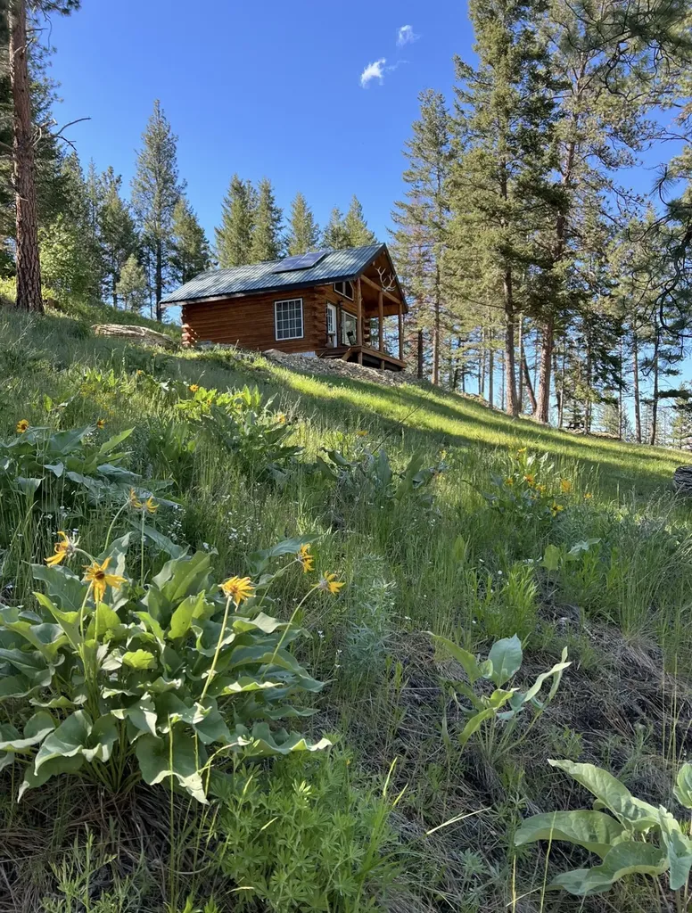 73477 Arlee Pines Drive Arlee MT 59821