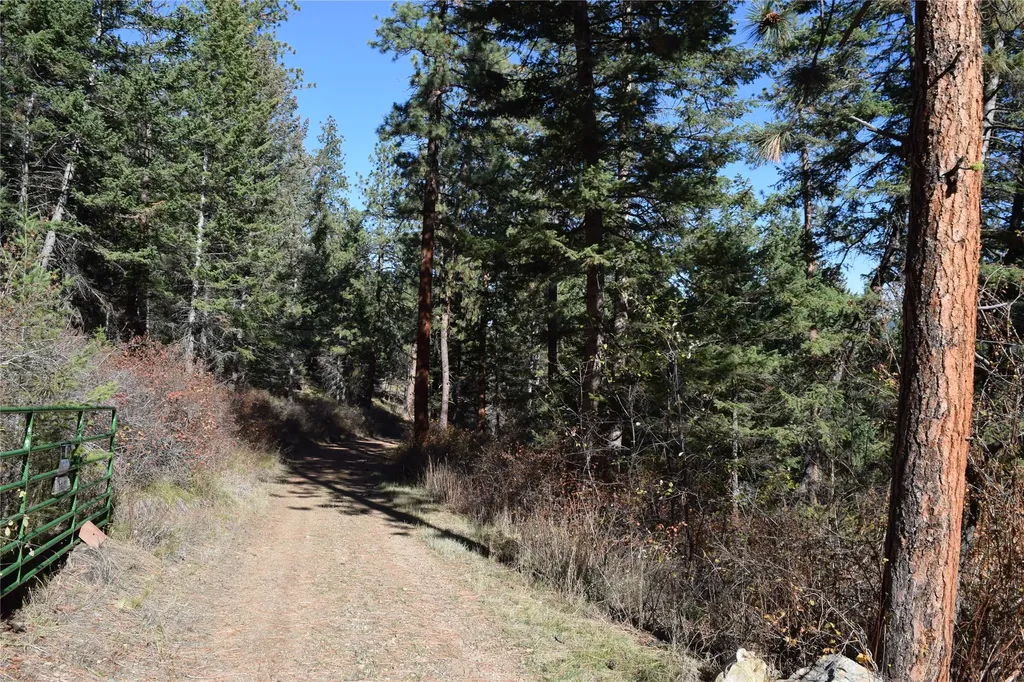 73477 Arlee Pines Drive Arlee MT 59821