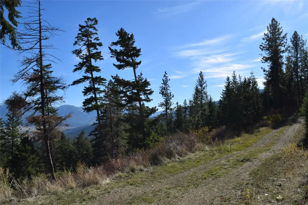73477 Arlee Pines Drive Arlee MT 59821