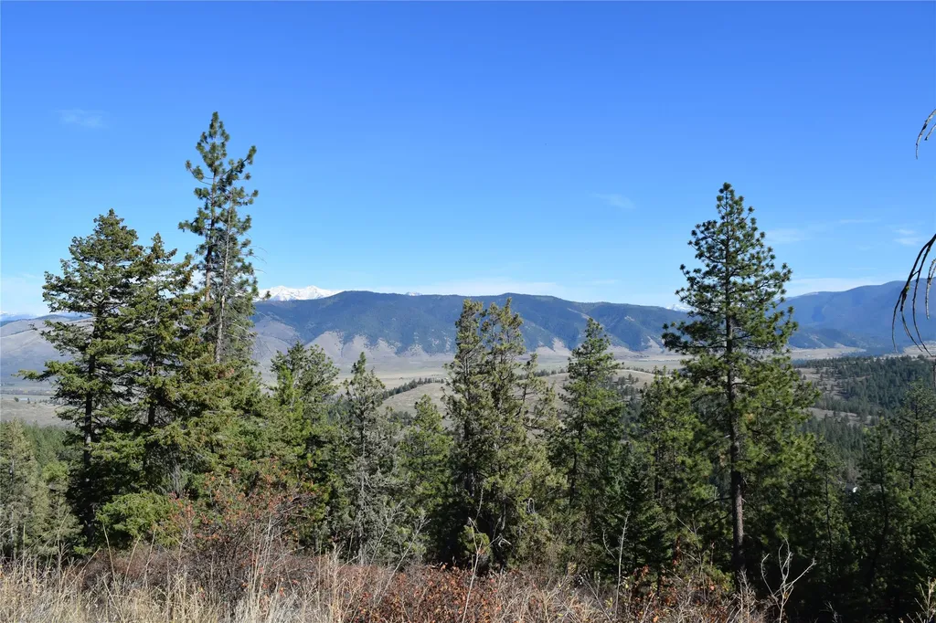 73477 Arlee Pines Drive Arlee MT 59821