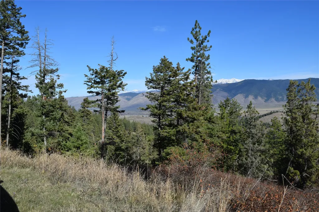 73477 Arlee Pines Drive Arlee MT 59821