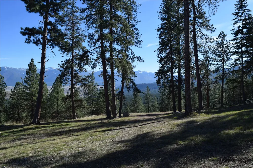 73477 Arlee Pines Drive Arlee MT 59821