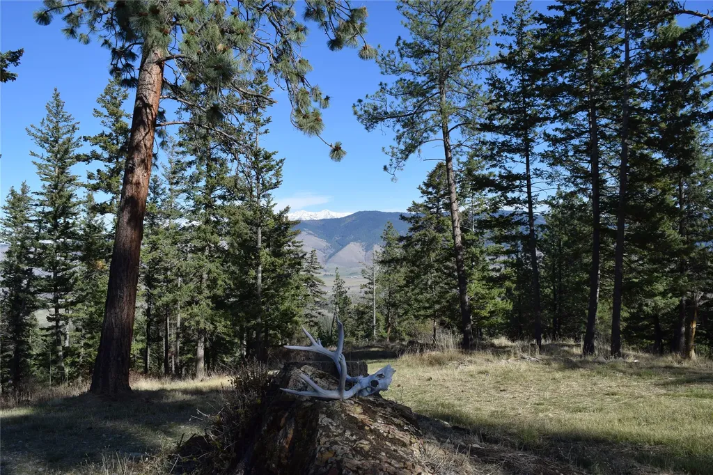 73477 Arlee Pines Drive Arlee MT 59821