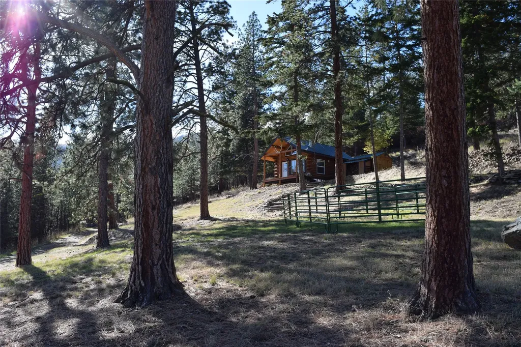 73477 Arlee Pines Drive Arlee MT 59821