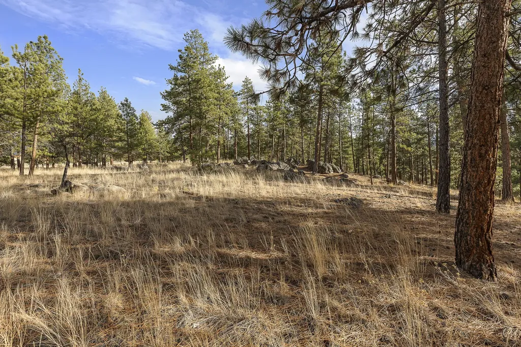 764 Lord Byron Trail Hamilton MT 59840