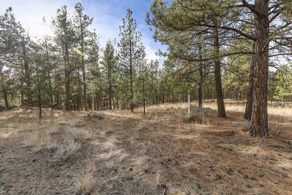 764 Lord Byron Trail Hamilton MT 59840