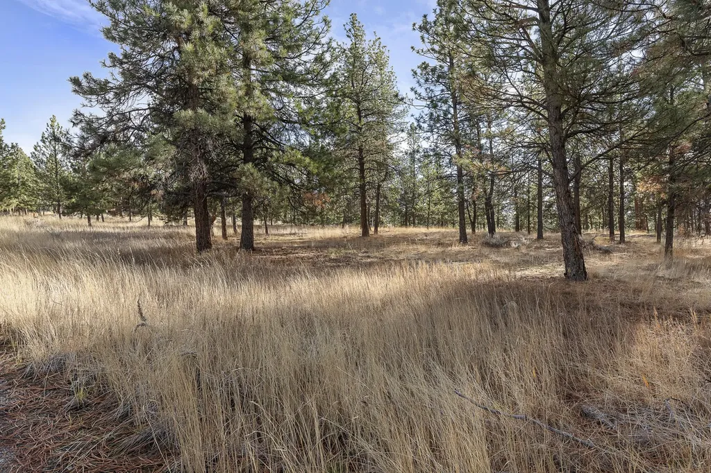 764 Lord Byron Trail Hamilton MT 59840