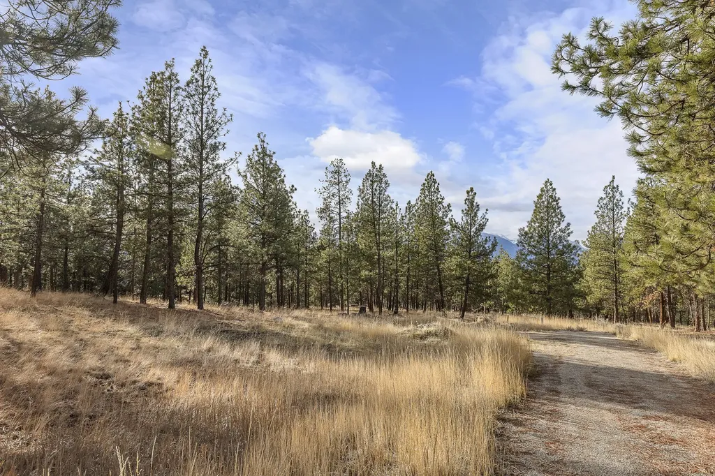 764 Lord Byron Trail Hamilton MT 59840