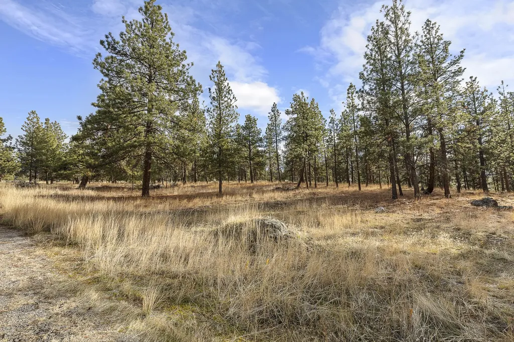 764 Lord Byron Trail Hamilton MT 59840
