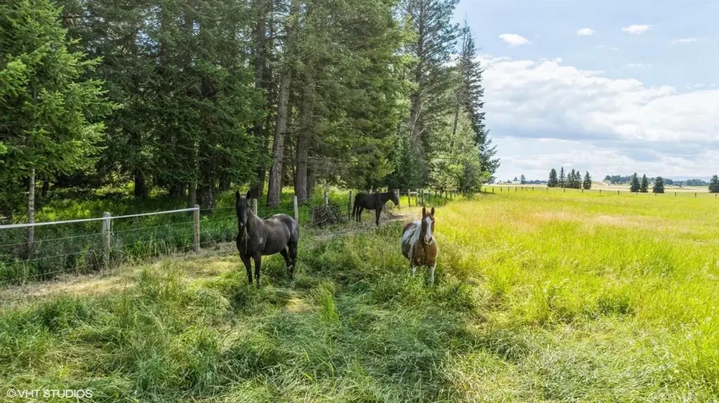 216 Tavern Lane Columbia Falls MT 59912