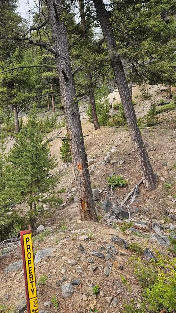 67 Basin Creek Road Boulder MT 59632