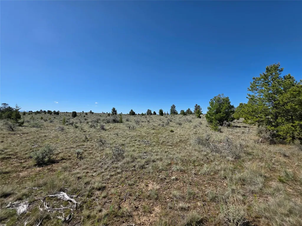 Tbd Prevost Trail Butte MT 59701