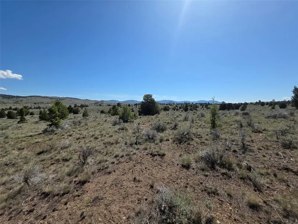 Tbd Prevost Trail Butte MT 59701