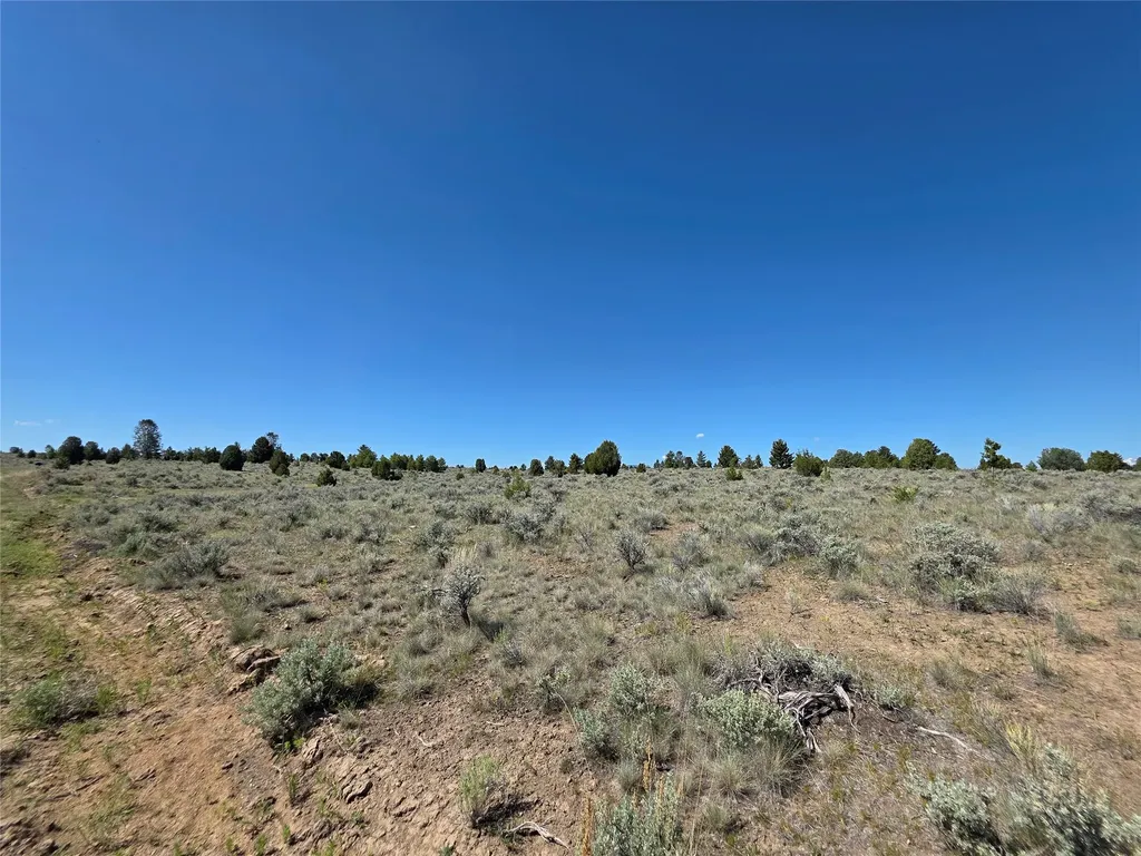 Tbd Prevost Trail Butte MT 59701