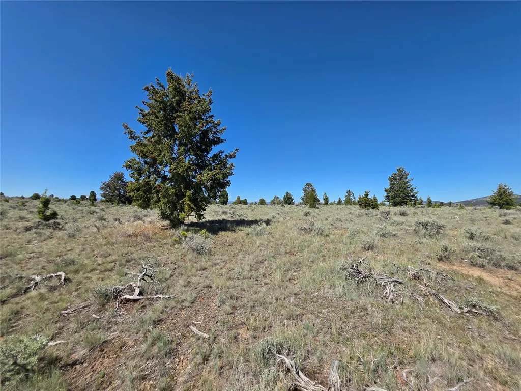 Tbd Prevost Trail Butte MT 59701