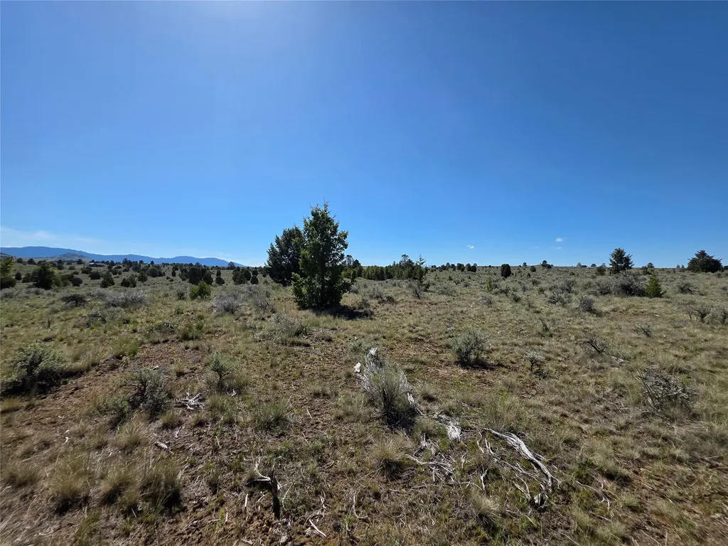 Tbd Prevost Trail Butte MT 59701