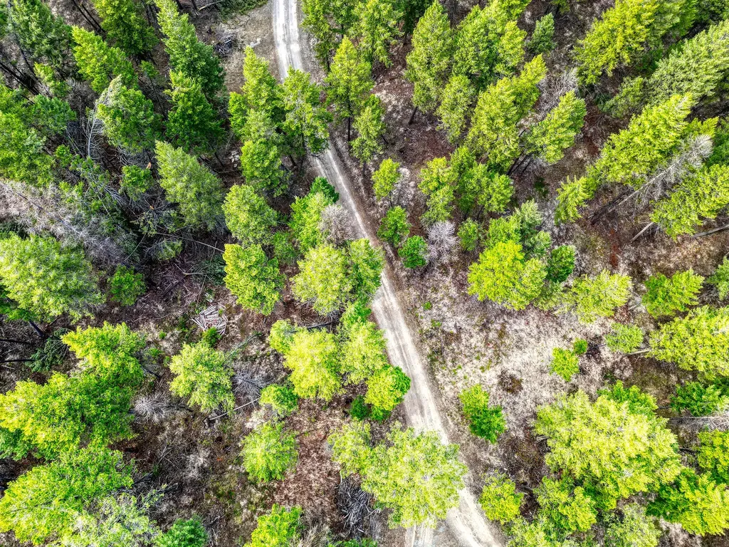 390 Crosscut Road Rexford MT 59930