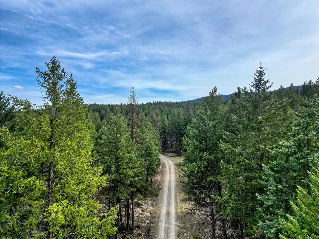 390 Crosscut Road Rexford MT 59930