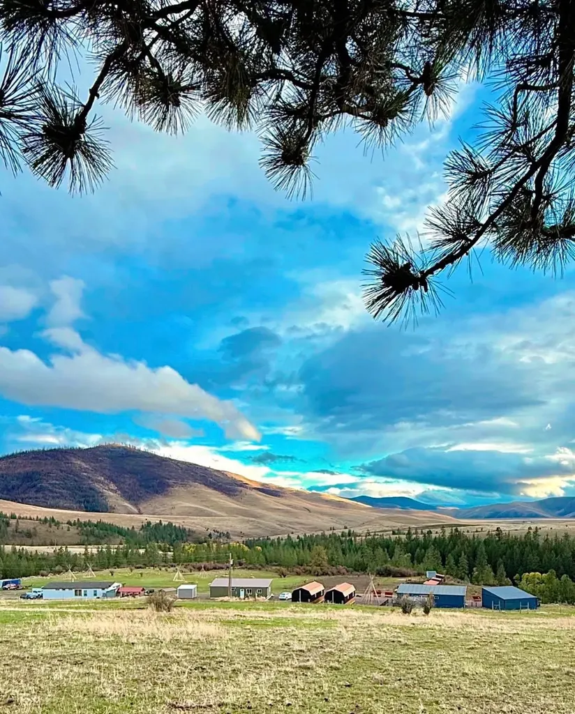 7000 Browns Meadow Road Niarada MT 59845
