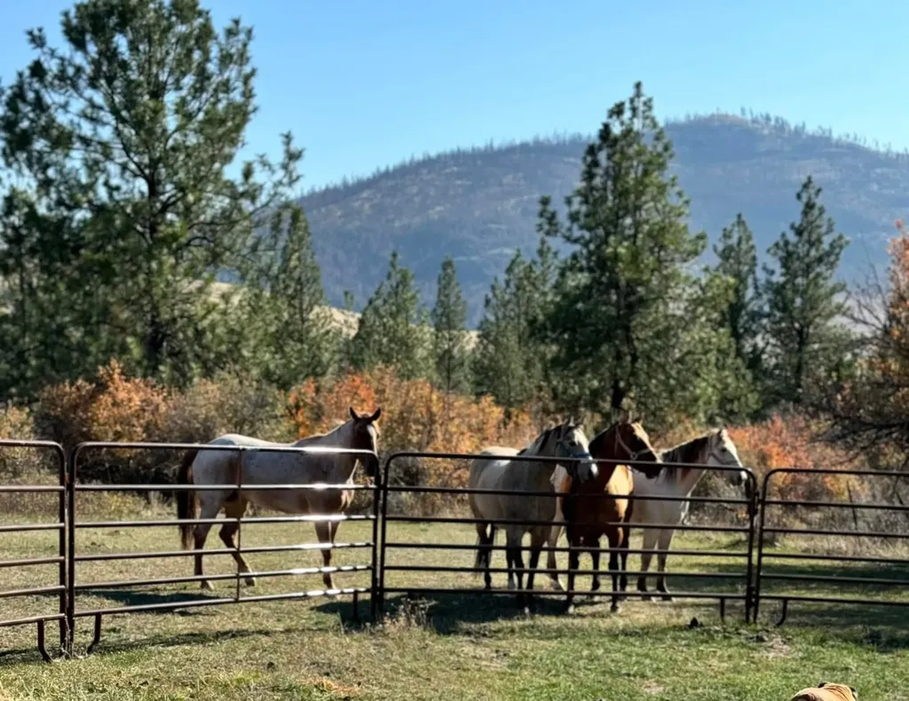 7000 Browns Meadow Road Niarada MT 59845