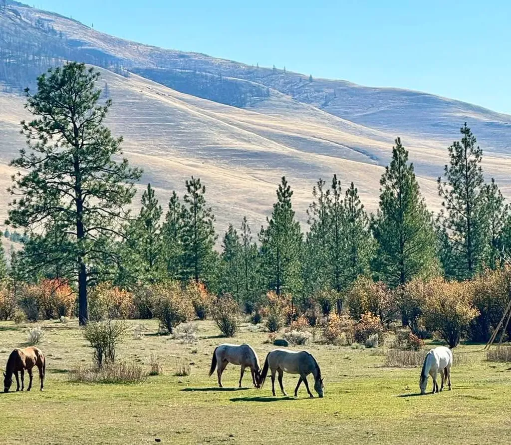 7000 Browns Meadow Road Niarada MT 59845