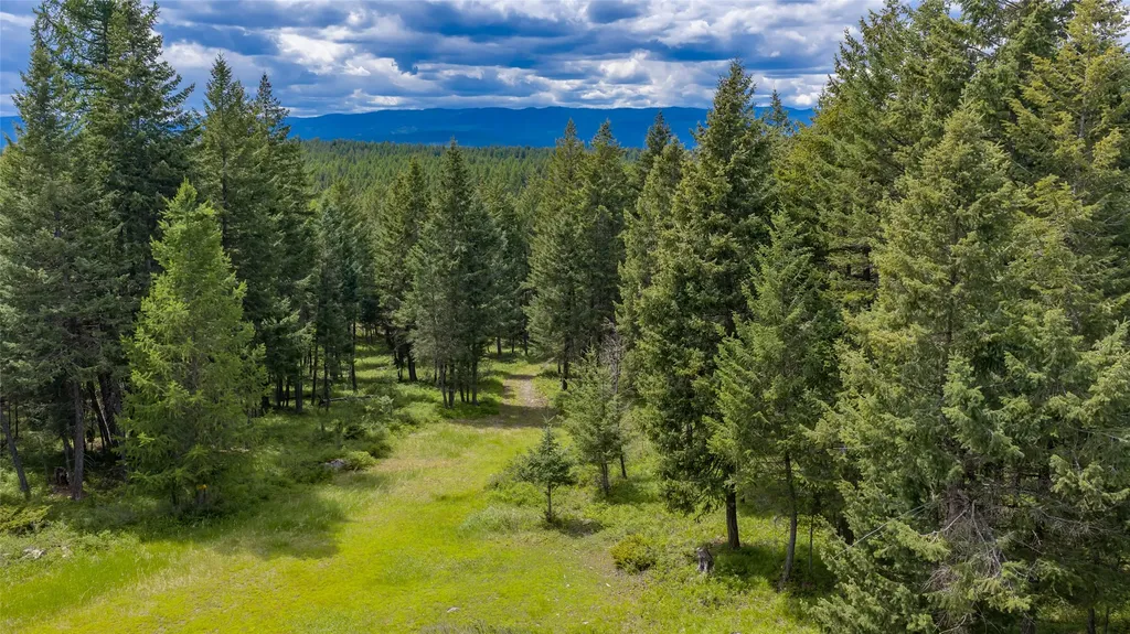 180 Squirrel Lane Whitefish MT 59937