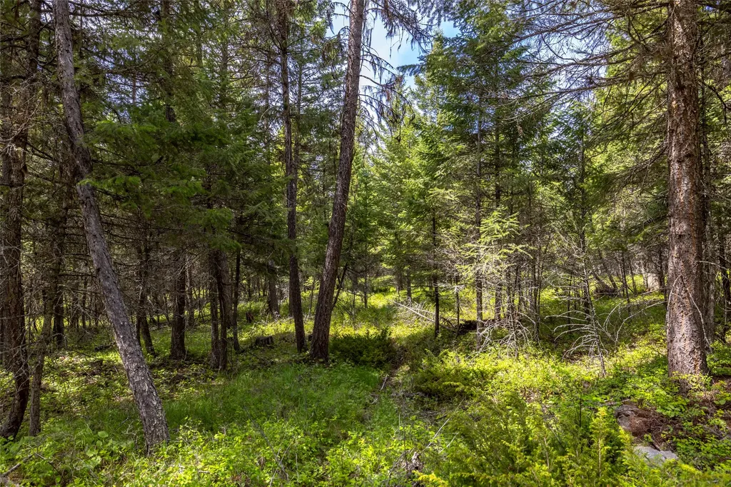 180 Squirrel Lane Whitefish MT 59937