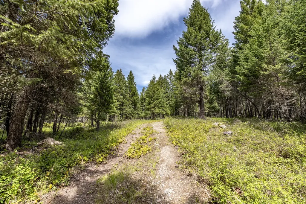 180 Squirrel Lane Whitefish MT 59937