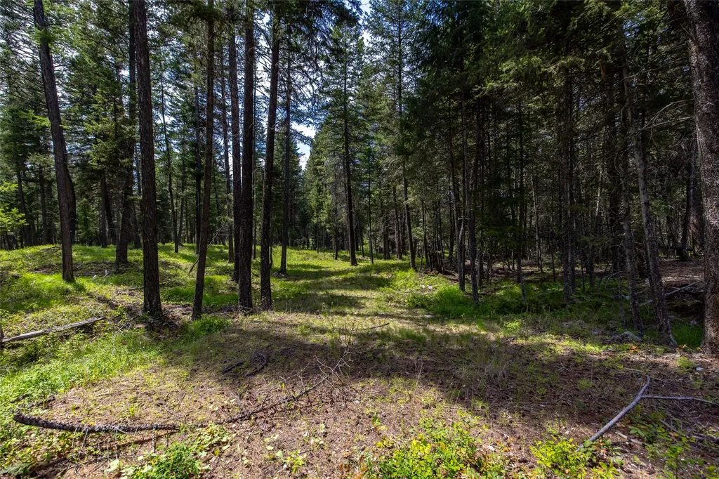 180 Squirrel Lane Whitefish MT 59937