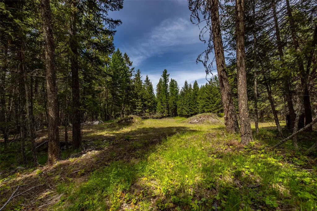 180 Squirrel Lane Whitefish MT 59937