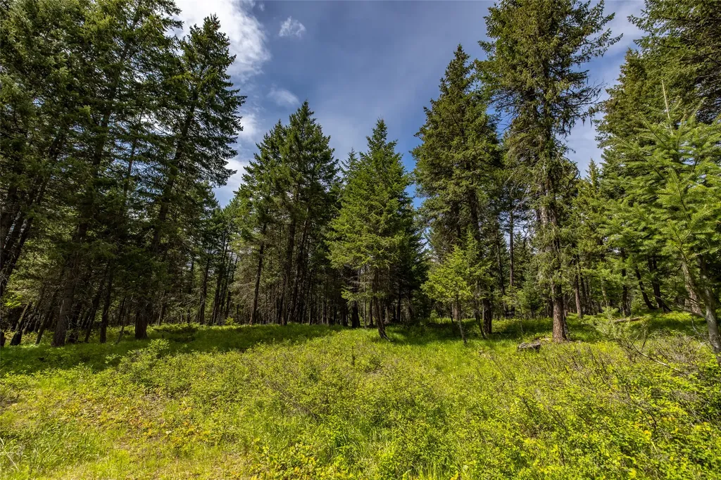 180 Squirrel Lane Whitefish MT 59937