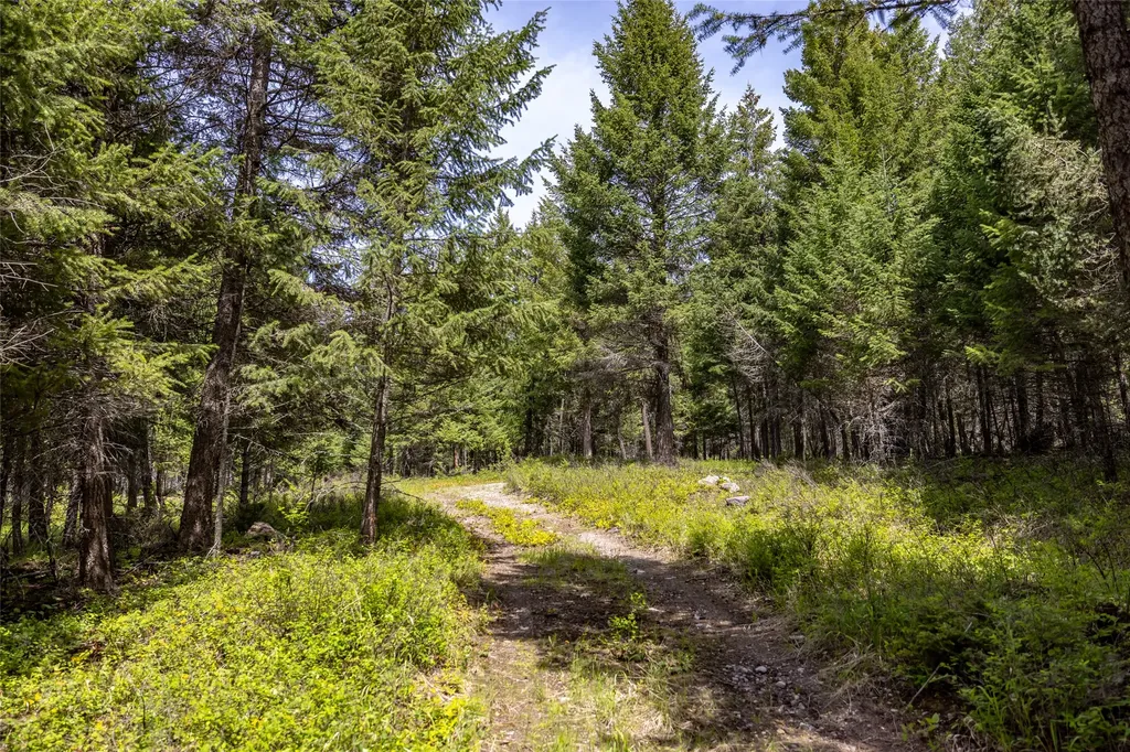180 Squirrel Lane Whitefish MT 59937