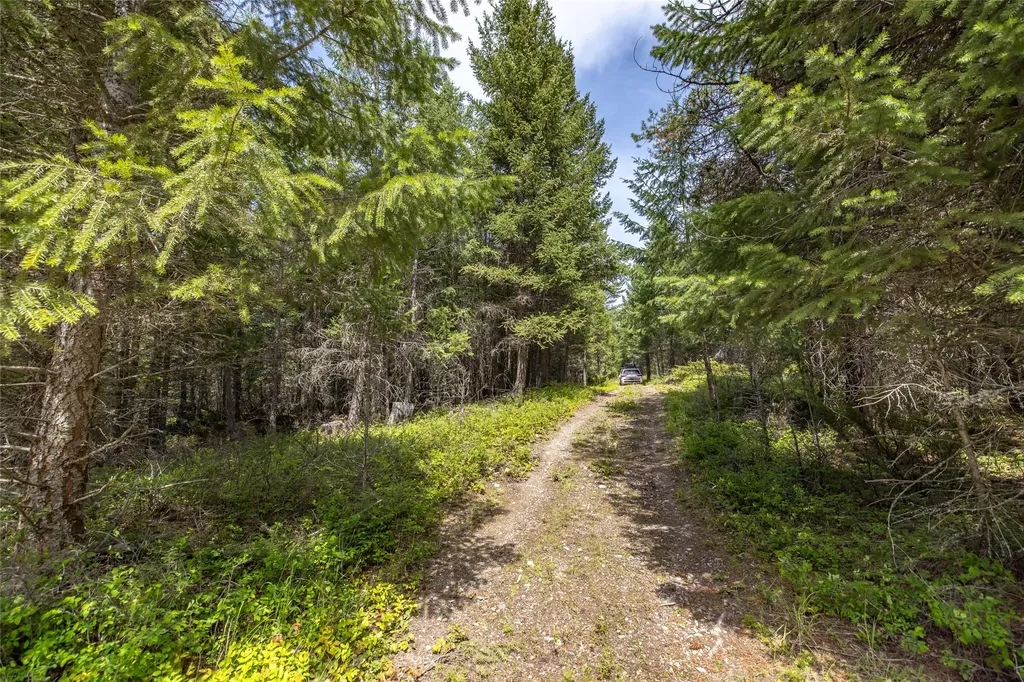 180 Squirrel Lane Whitefish MT 59937