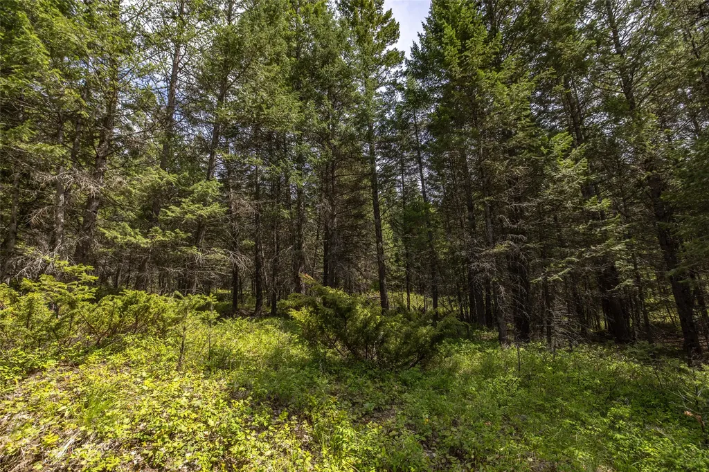 180 Squirrel Lane Whitefish MT 59937